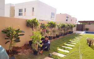 garden landscapers on garden landscaping company in Dubai